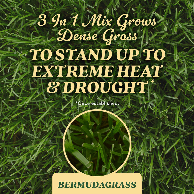 O.M. Scott & Sons™ Bermudagrass Grass Seed image number null