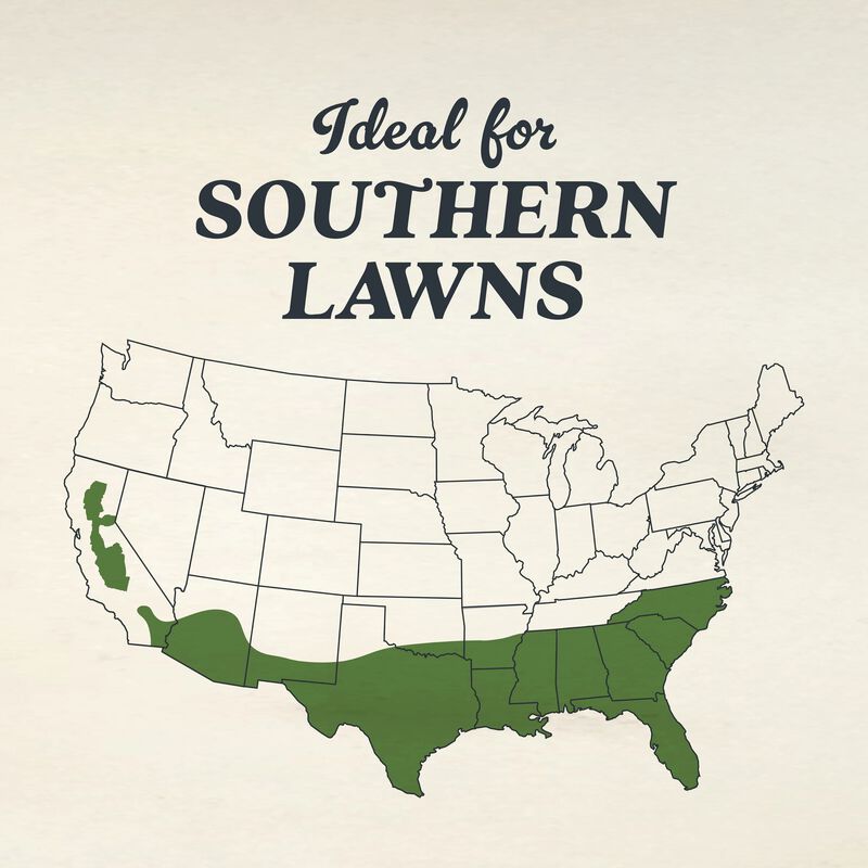 O.M. Scott & Sons™ Bermudagrass Grass Seed image number null