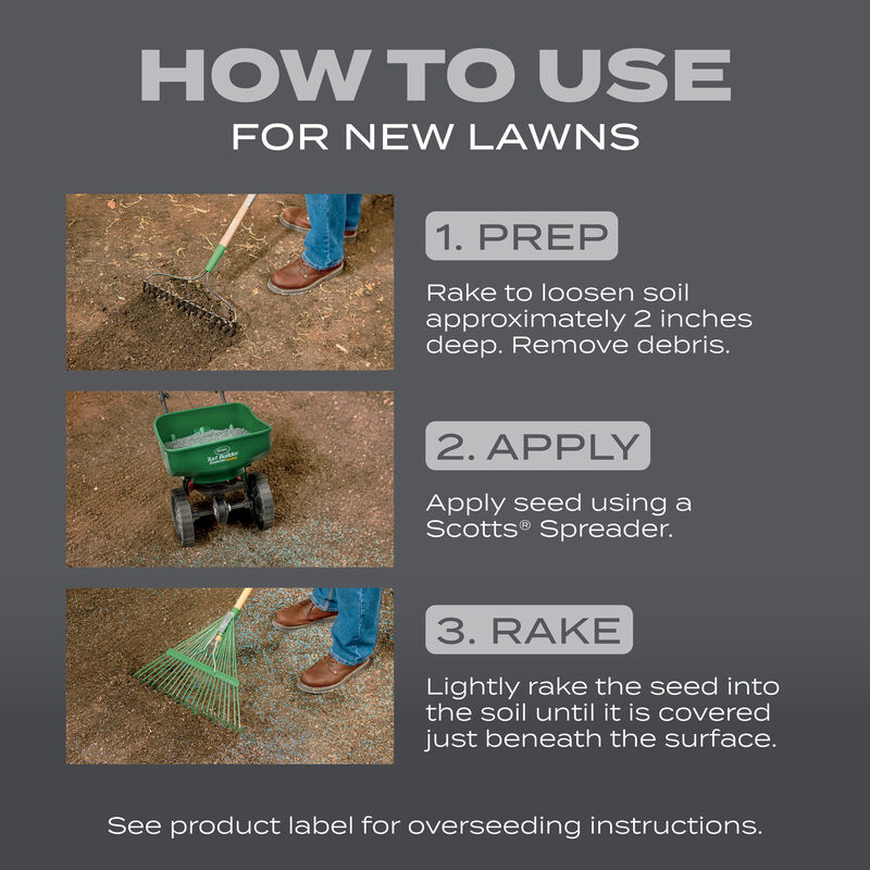 Scotts Turf Builder Grass Seed Northeast Mix Scotts