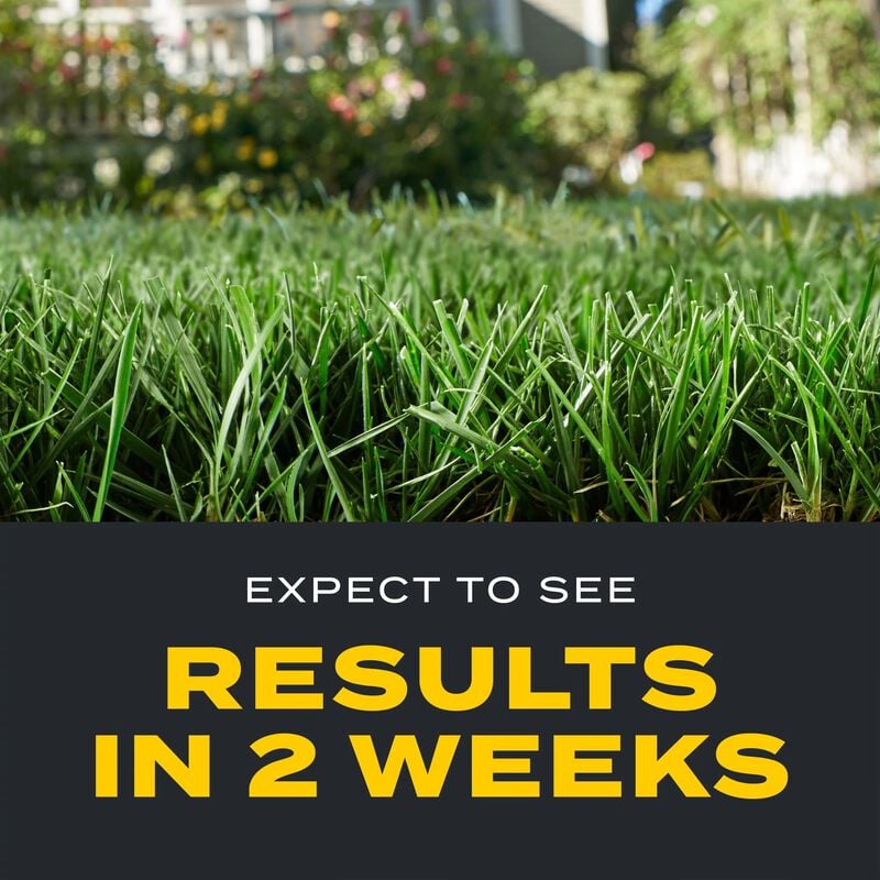 Scotts® Turf Builder® Triple Action1 and Scotts® Green Max™ Lawn Food Bundle for Large Lawns image number null