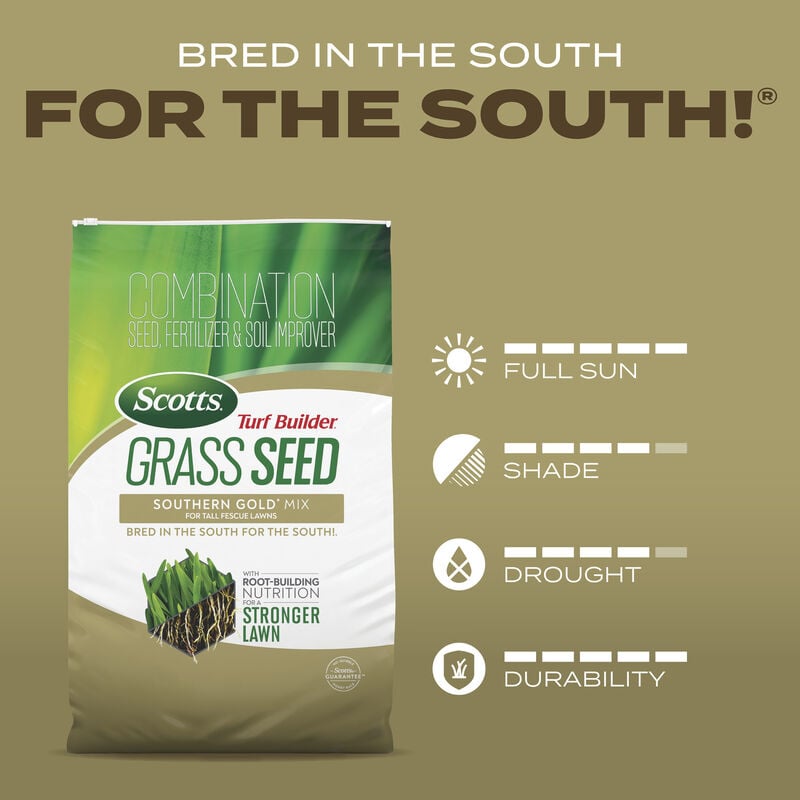 Scotts® Turf Builder® Grass Seed Southern Gold® Mix for Tall Fescue Lawns image number null