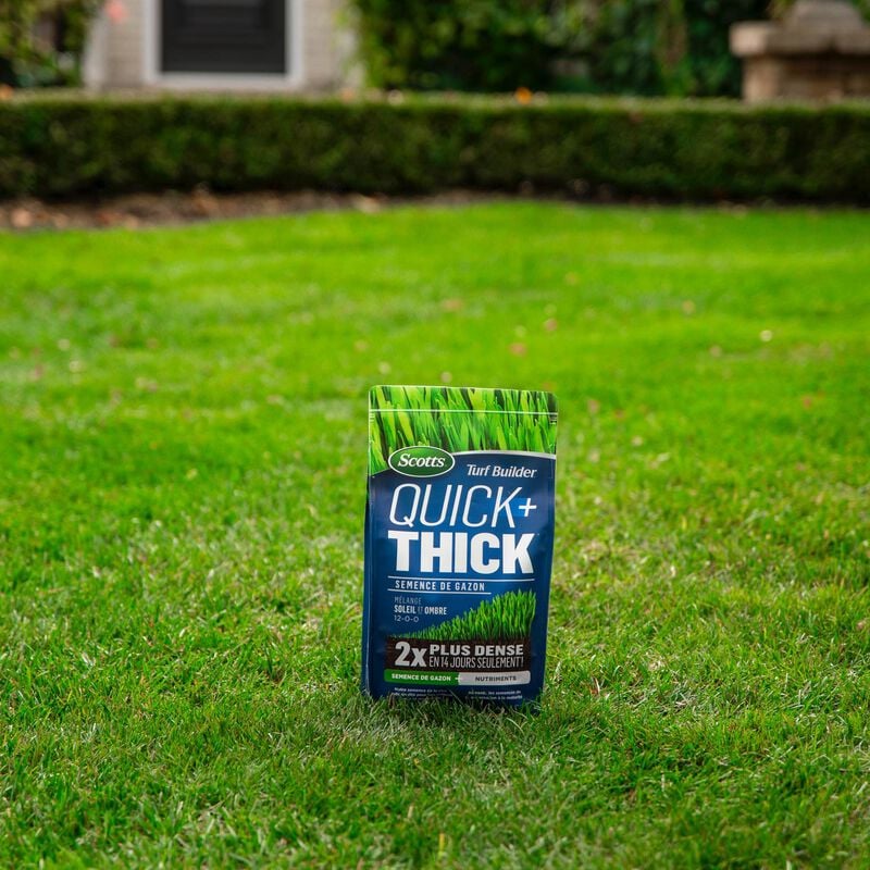 Scotts® Turf Builder® Quick + Thick™ Grass Seed Sun - Shade image number null