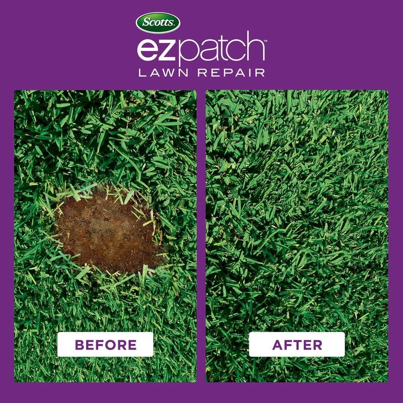 Scotts® EZ Patch™️Lawn Repair for St. Augustine Lawns image number null