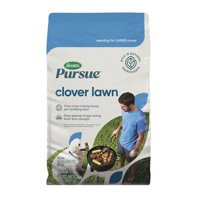 Scotts® Pursue™ Clover Lawn