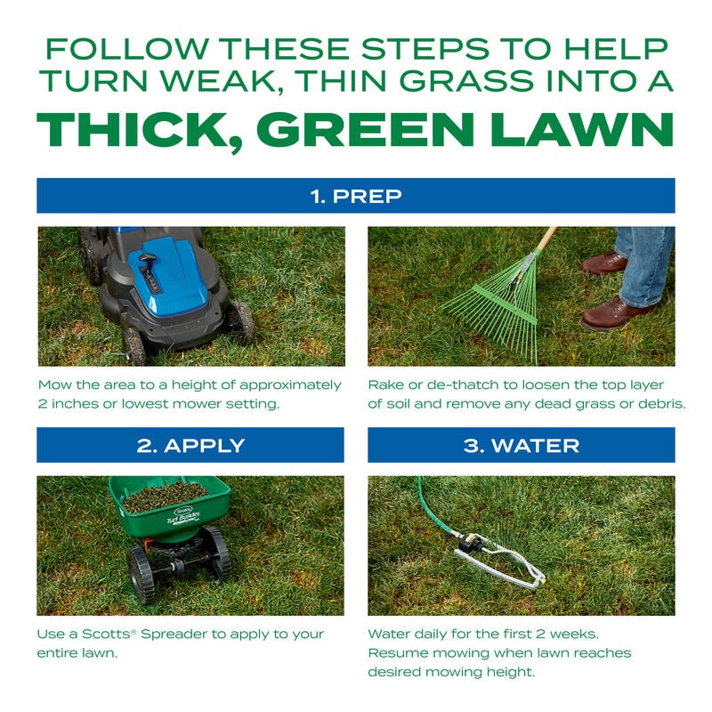Scotts® Turf Builder® Thick'R Lawn® Sun & Shade image number null