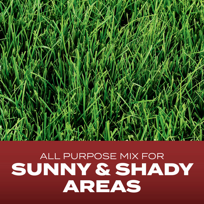 Scotts® Grass Seed Commercial Grade Mix image number null