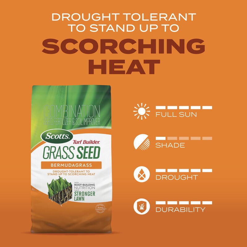 Scotts® Turf Builder® Grass Seed Bermudagrass image number null