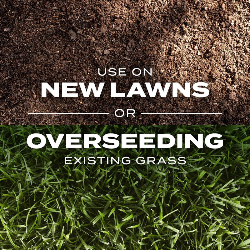 Scotts Turf Builder Rapid Grass Sun & Shade Mix Scotts