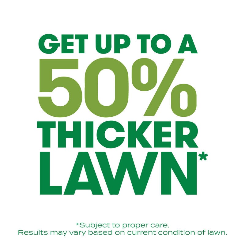 Scotts® Turf Builder® Thick'R Lawn® Tall Fescue Mix image number null