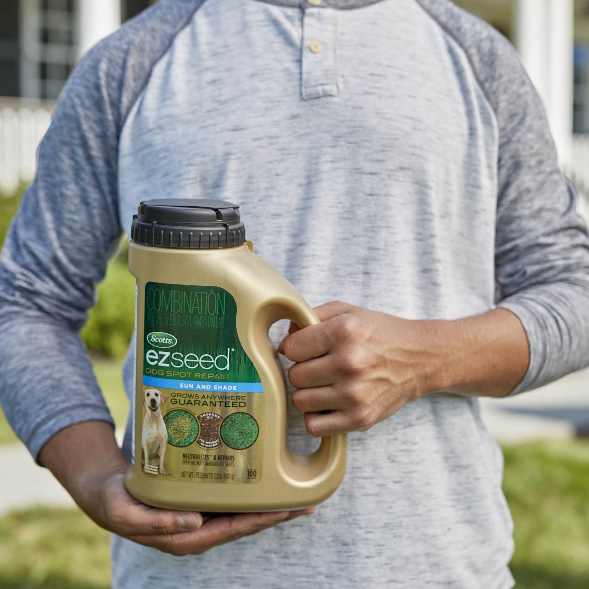 Scotts ez seed patch and repair deals