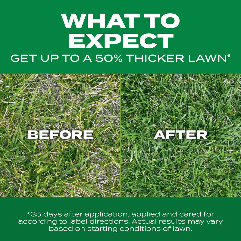 Scotts® Turf Builder® Thick'R Lawn® Tall Fescue Mix image number null
