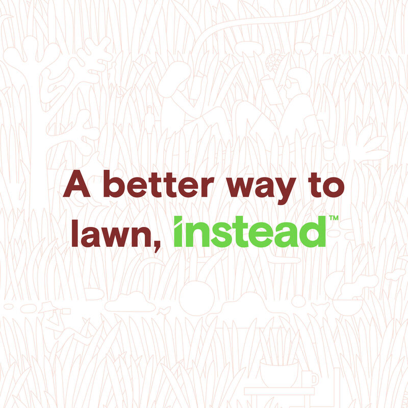 instead™ Happy Lawn™ Fall Fertilizer image number null