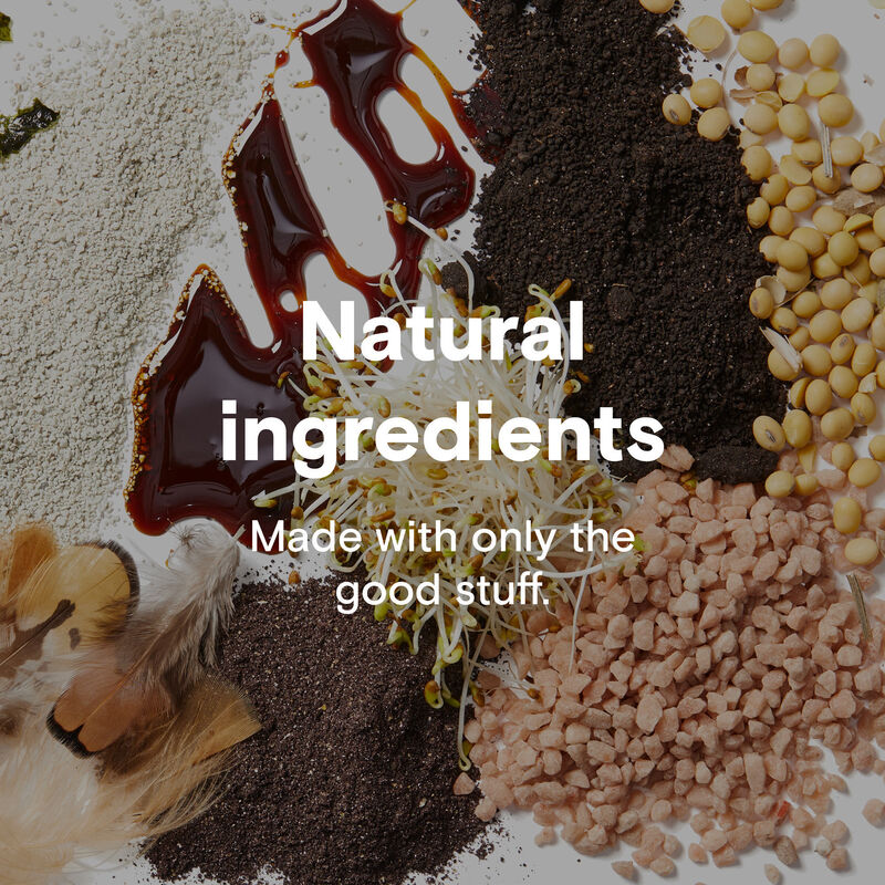 instead™ Happy Lawn™ Fall Fertilizer image number null